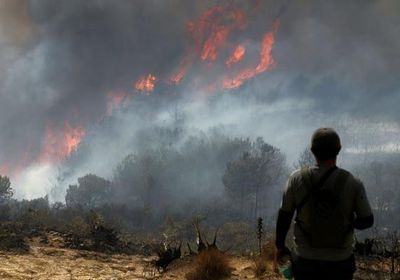 حريق ضخم يلتهم 290 هكتاراً ويهدد محمية بكولومبيا
