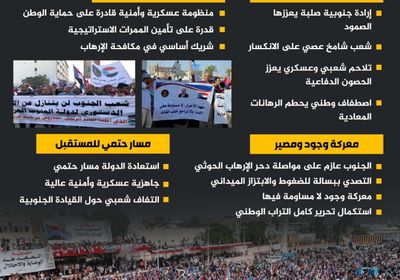 إرادة لا تتزعزع.. الجنوب بثبات شعبه وحكمة قيادته يقهر المؤامرات (إنفوجراف)