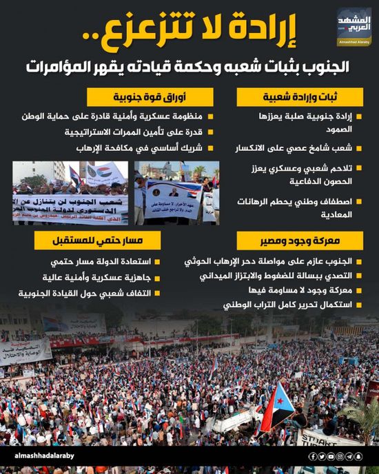 إرادة لا تتزعزع.. الجنوب بثبات شعبه وحكمة قيادته يقهر المؤامرات (إنفوجراف)