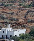 جرافات إسرائيلية تقتلع أشجار زيتون فلسطينية قبيل موسم الحصاد