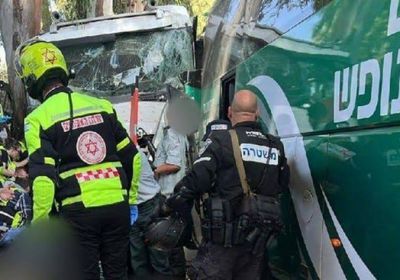 إصابة نجل سفير إسرائيل في حادث دهس 