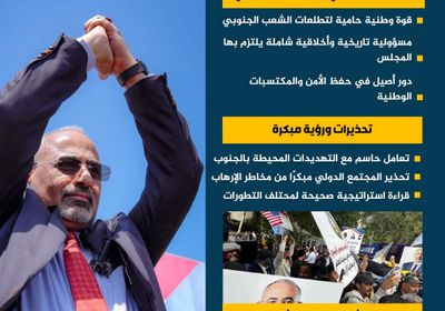 المجلس الانتقالي.. التزام بحماية الجنوب ومصالحه الاستراتيجية (إنفوجراف)