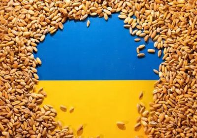 تراجع صادرات أوكرانيا الأسبوعية من الحبوب بنسبة 9%