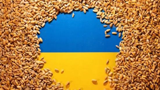 تراجع صادرات أوكرانيا الأسبوعية من الحبوب بنسبة 9%
