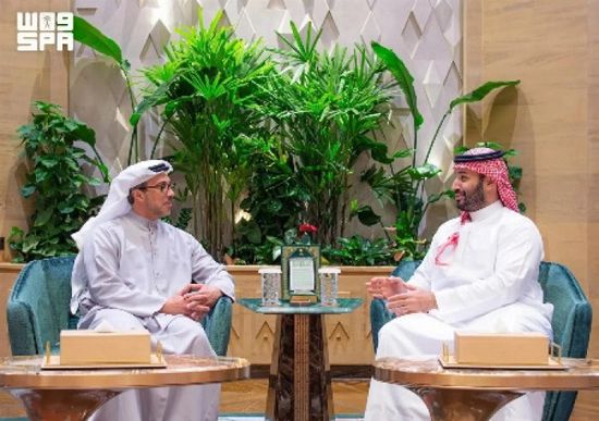 ولي العهد السعودي ونائب رئيس الإمارات يستعرضان التطورات في المنطقة
