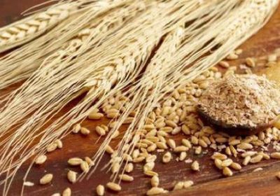 لاتفيا تعتزم فرض رسوم جمركية 300% على الحبوب الروسية