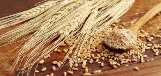 لاتفيا تعتزم فرض رسوم جمركية 300% على الحبوب الروسية