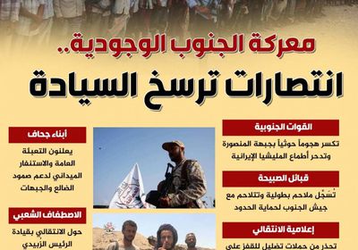معركة الجنوب الوجودية.. انتصار المنصورة يرسخ السيادة (إنفوجراف)