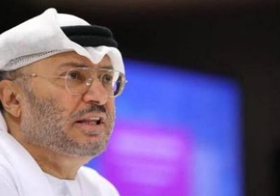 &laquo;بطل حقيقي&raquo;.. قرقاش يشيد بطيار هندي في &laquo;فلاي دبي&raquo;