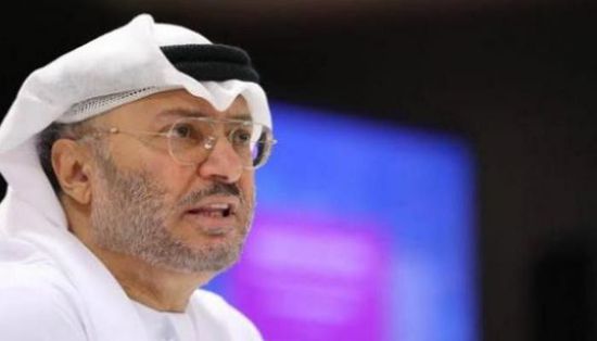 &laquo;بطل حقيقي&raquo;.. قرقاش يشيد بطيار هندي في &laquo;فلاي دبي&raquo;