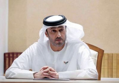 مساعد طيار "فلاي دبي" متهم بالشروع في تنفيذ عملية إرهابية