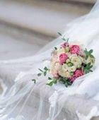 عروس جزائرية طلبت دجاجتين لزفافها.. ففاجأتها المساعدات