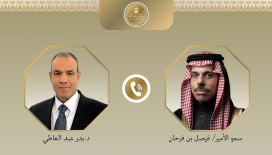 وزير الخارجية المصري لنظيره السعودي: القاهرة تقف إلى جانب المملكة