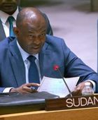السودان: نزع سلاح الدعم السريع شرط أساسي لإنهاء الحرب