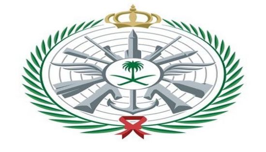 مقتل ضابطين سعوديين في تحطم طائرة عسكرية بنجران