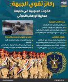 ركائز تقوي الجبهة: القوات الجنوبة في طليعة محاربة الإرهاب الحوثي (إنفوجراف)