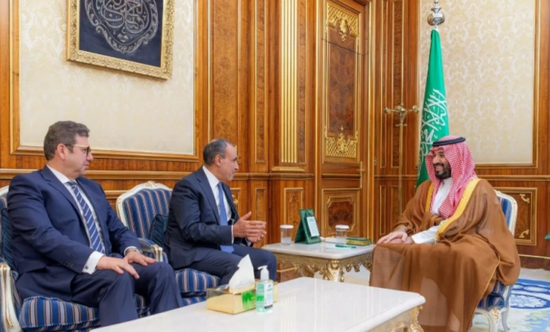 ولي العهد السعودي يتسلم رسالةً خطيةً لخادم الحرمين من الرئيس المصري