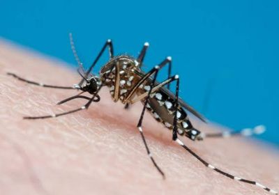 حمى الضنك تتفشى في الولايات المتحدة وتخرج عن نطاقاتها الجغرافية