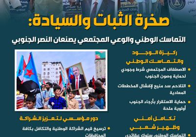 صخرة الثبات والسيادة: التماسك الوطني والوعي المجتمعي يصنعان النصر الجنوبي (إنفوجراف)