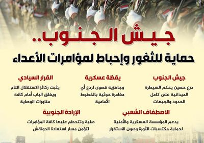 جيش الجنوب.. حماية للثغور وإحباط لمؤامرات الأعداء (إنفوجراف)