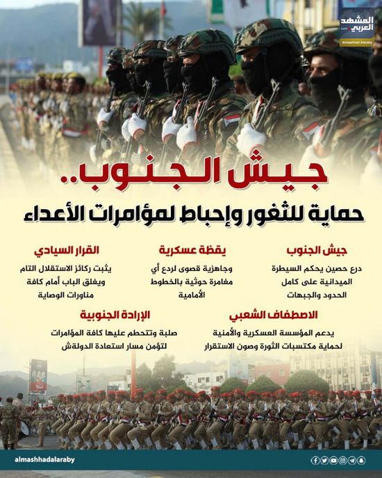 جيش الجنوب.. حماية للثغور وإحباط لمؤامرات الأعداء (إنفوجراف)