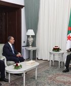 وزير الخارجية المصري يبحث مع الرئيس الجزائري مستجدات الأوضاع الإقليمية