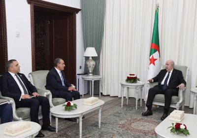 وزير الخارجية المصري يبحث مع الرئيس الجزائري مستجدات الأوضاع الإقليمية