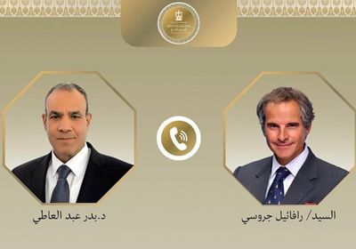 وزير الخارجية المصري يبحث مع جروسي التعاون الثنائي والقضايا الإقليمية