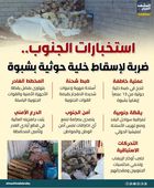 استخبارات الجنوب.. ضربة لإسقاط خلية حوثية بشبوة (إنفوجراف)