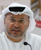 &laquo;بطولة مشرّفة&raquo;.. قرقاش يشيد بتكريم طاقم &laquo;فلاي دبي&raquo; بوسام زايد الثاني