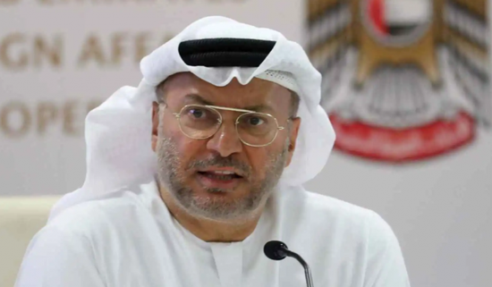 &laquo;بطولة مشرّفة&raquo;.. قرقاش يشيد بتكريم طاقم &laquo;فلاي دبي&raquo; بوسام زايد الثاني