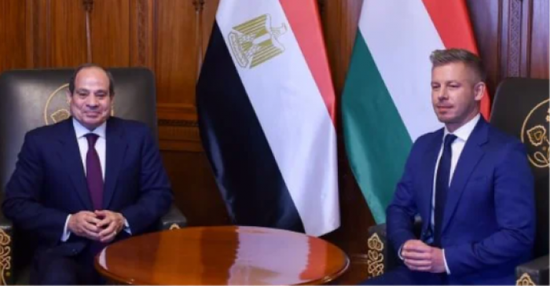 الرئيس السيسي: أمن الشرق الأوسط لا ينفصل عن أمن أوروبا