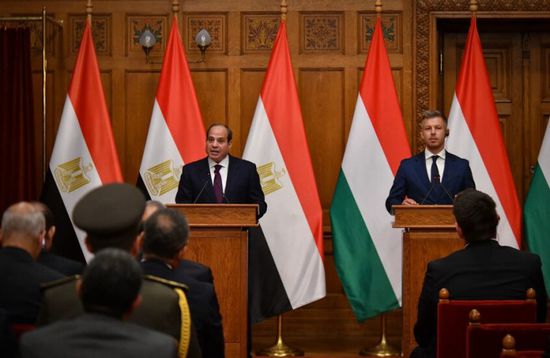الرئيس السيسي: لا سلام مستدام بالشرق الأوسط دون دولة فلسطينية مستقلة